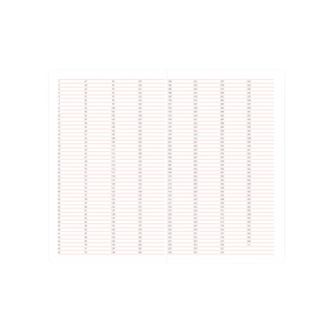 PPF DAY PERPETUAL PLANNER | LIGHT BLUE