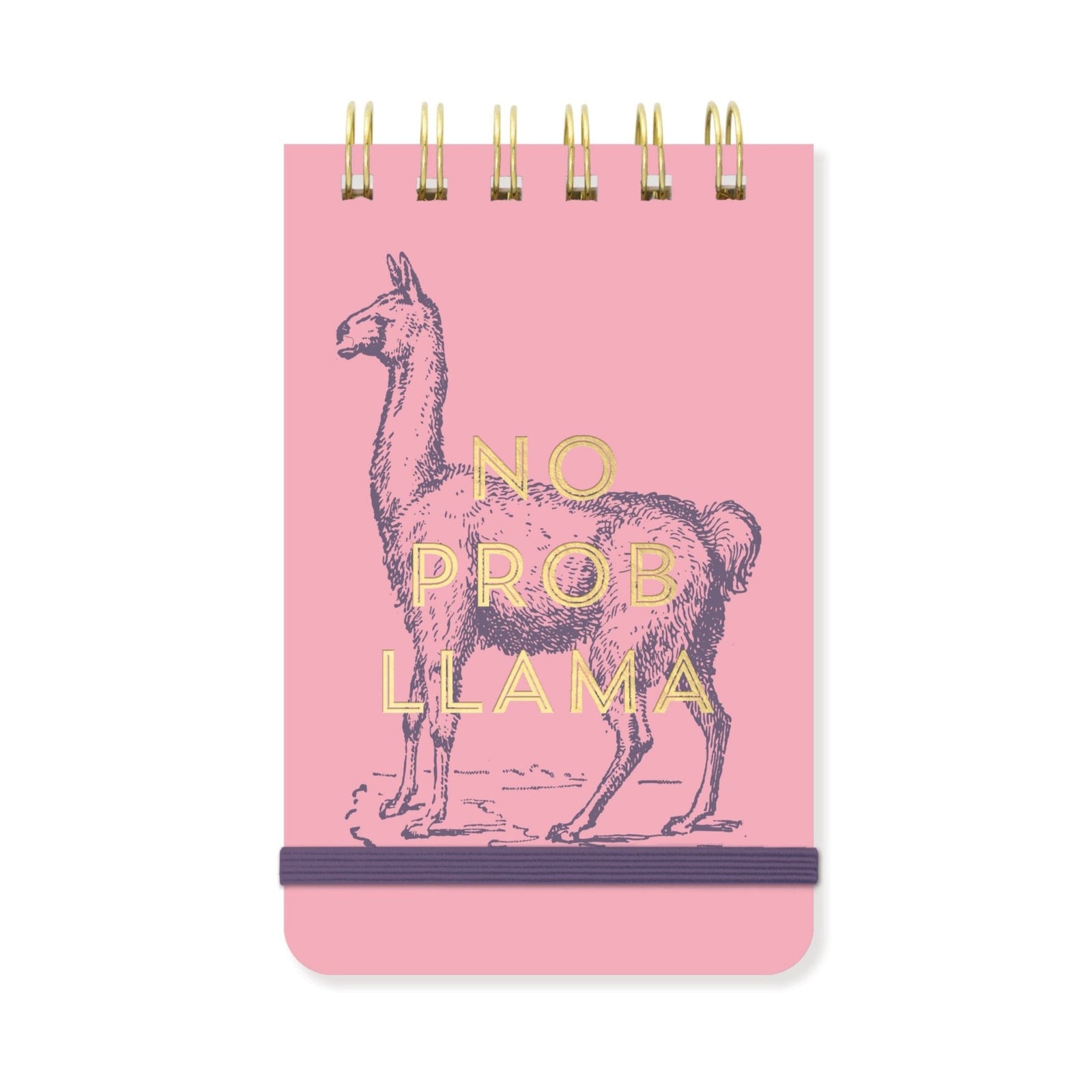 Vintage Sass Notepad | No ProbLLAMA