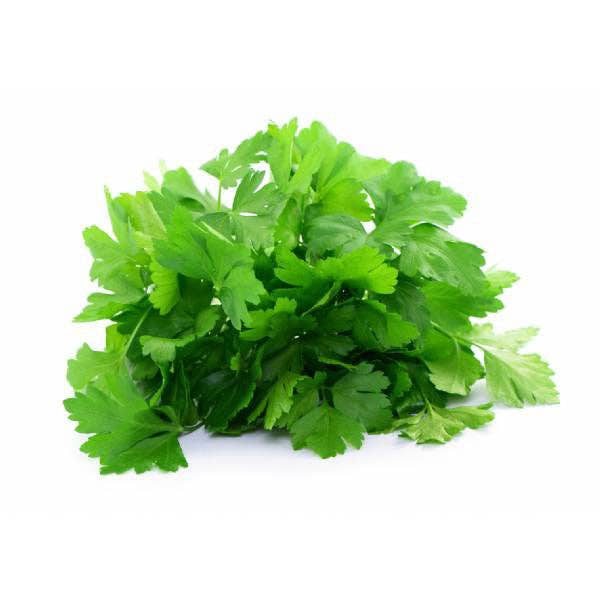 Parsley Gigante d’Italia | Plant Seeds