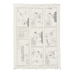 Peanuts Blanket Comic Flightschool