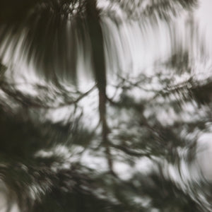 Black and white abstract pattern of tree shadows on a textured surface