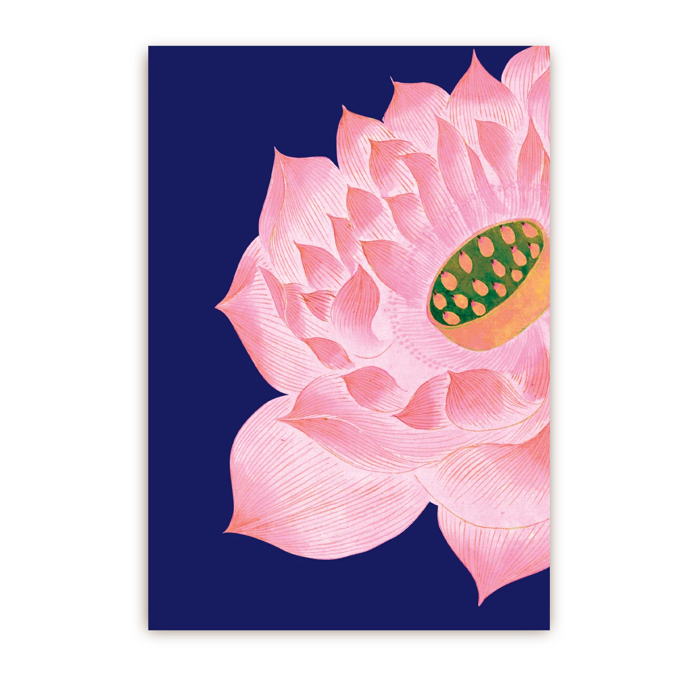 Pink Bloom | Postcard