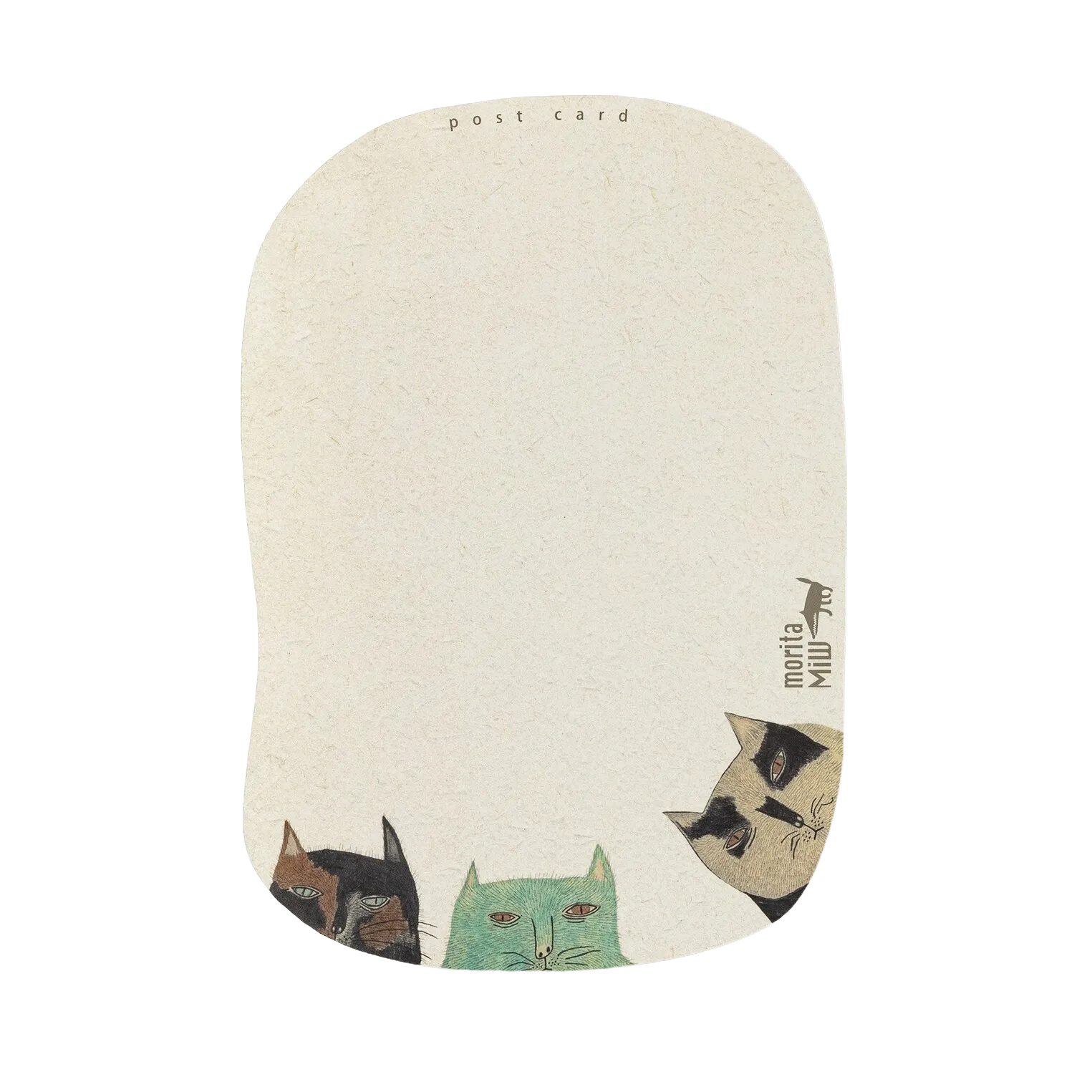 Postcard 3 Cats