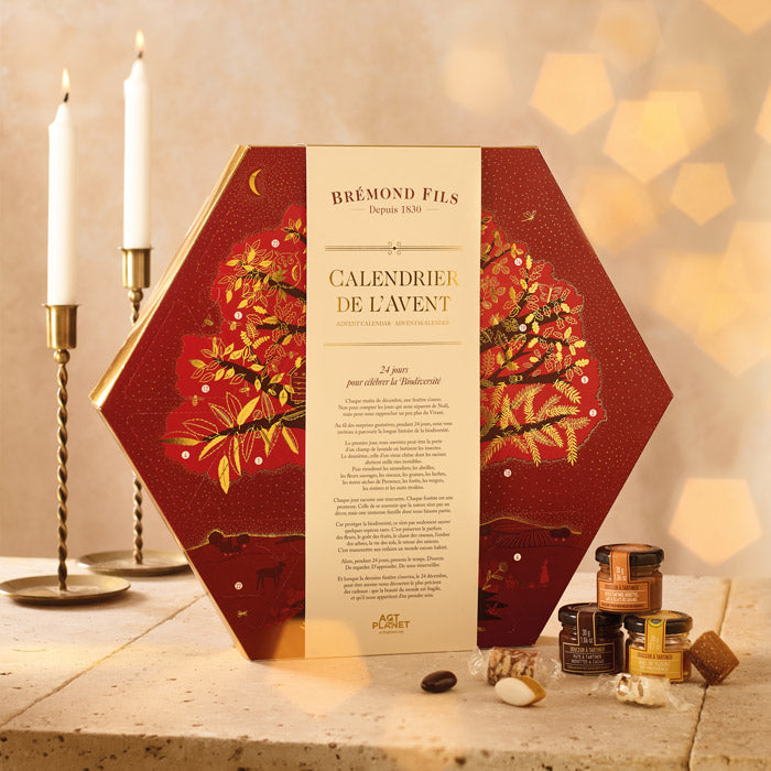Provence Advent Calendar 2026