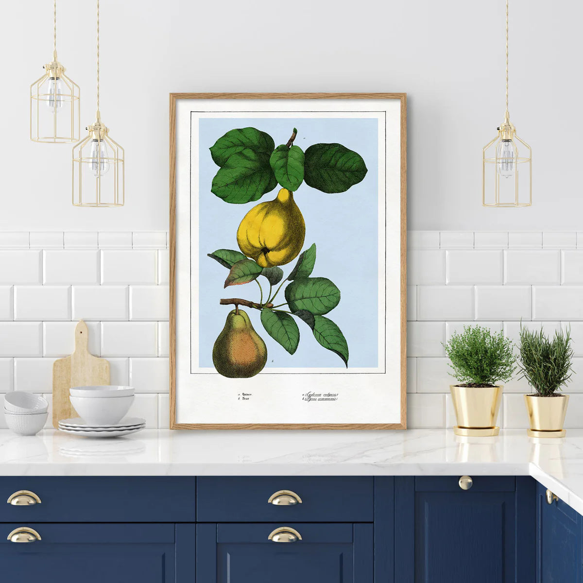 QUINCE AND PEAR | 30x40cm