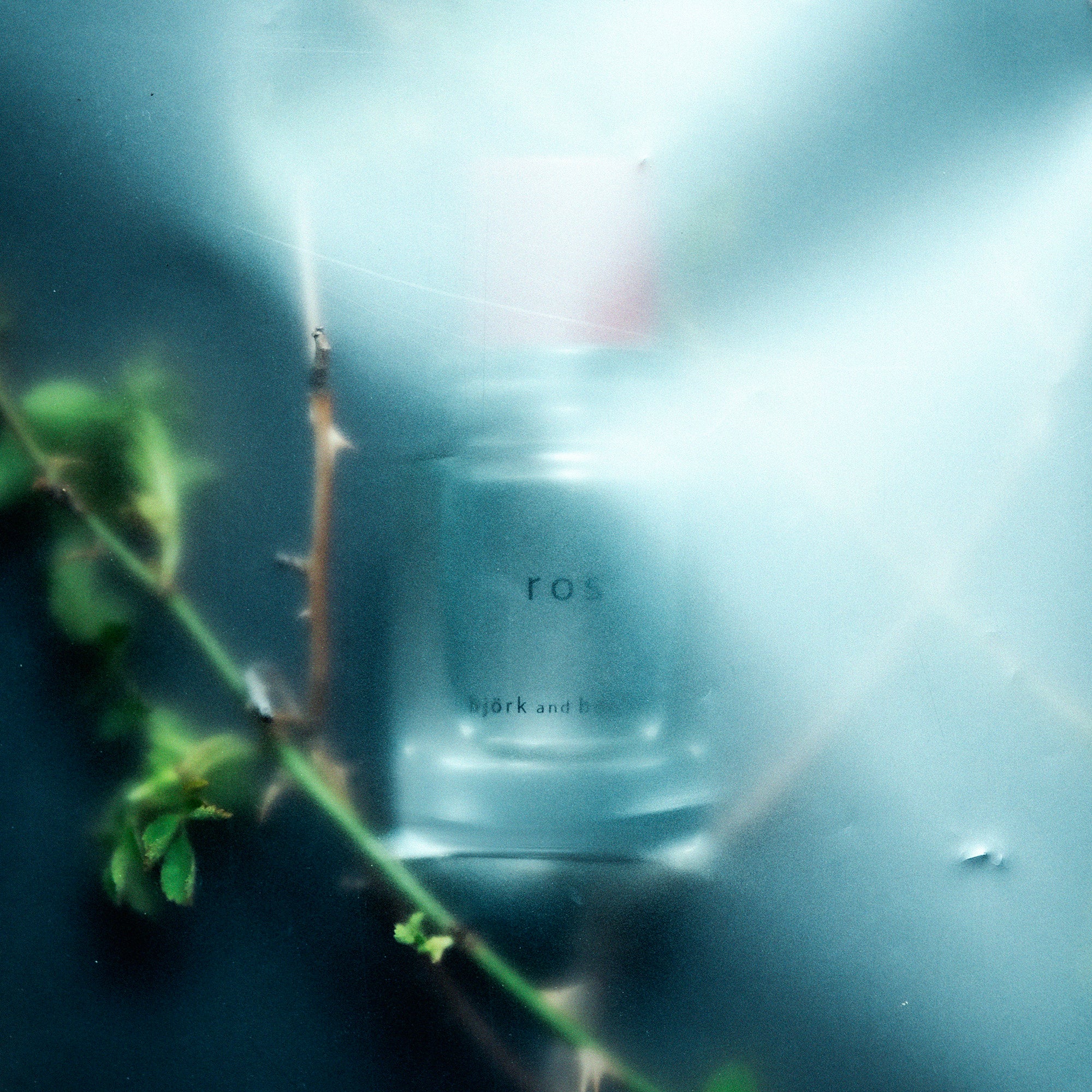 ROS | EAU DE PARFUM | 50ML