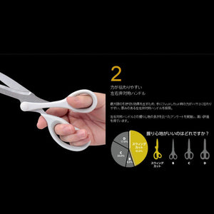 Raymay Fujii Swing Cut Scissors