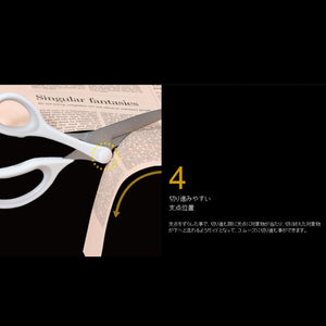 Raymay Fujii Swing Cut Scissors