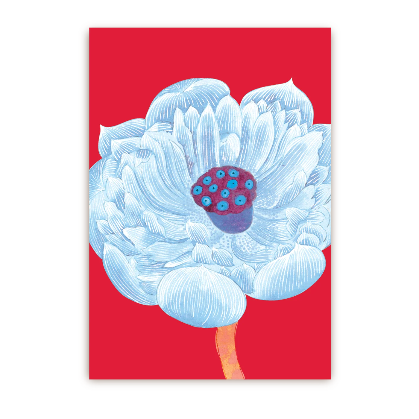 Red Bloom Floral | Postcard