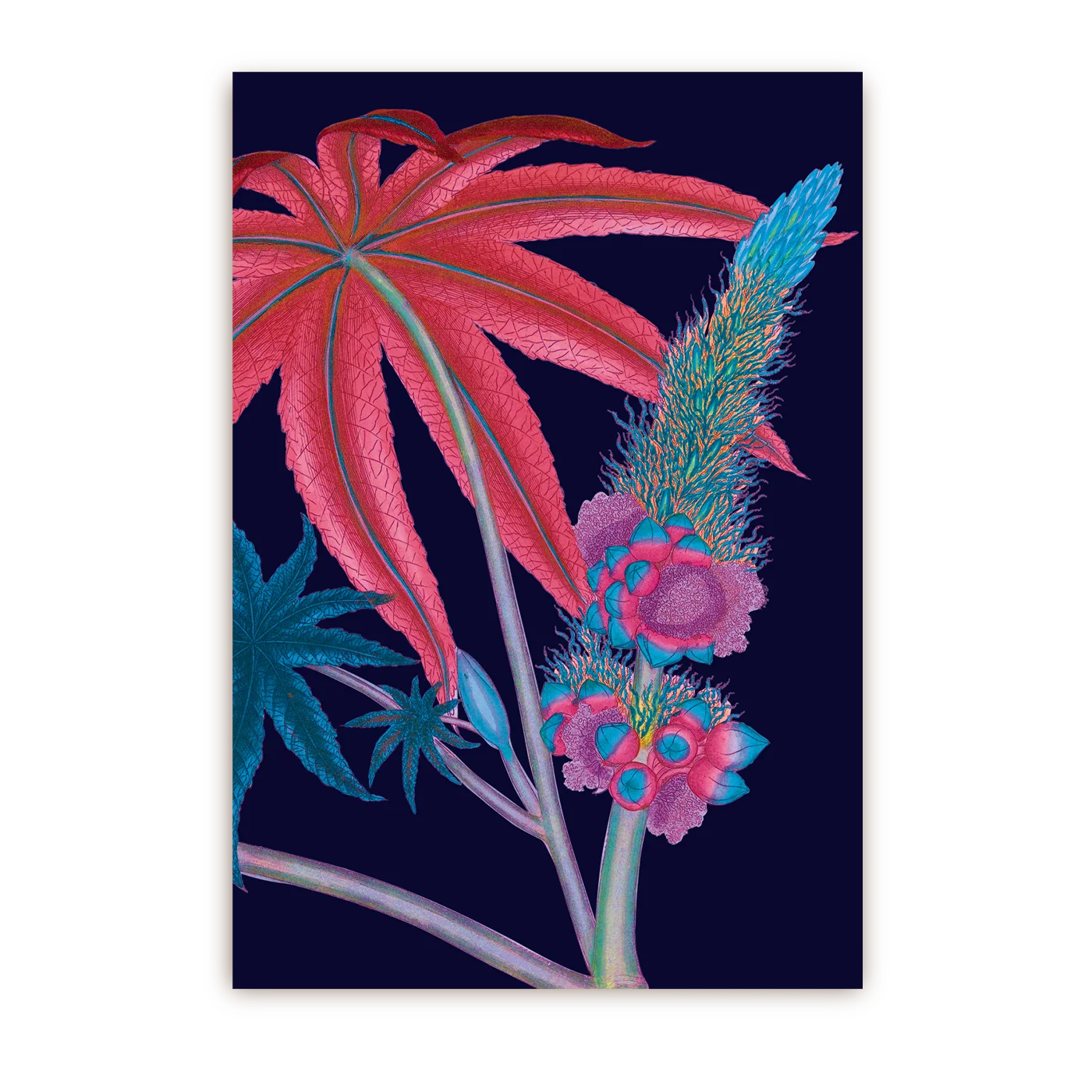 Ricinus Floral | Postcard