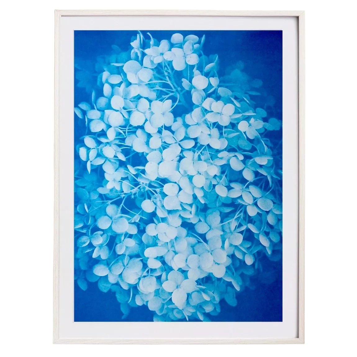 Risography Artprint Poster A3 | Unframed | Hydrangea
