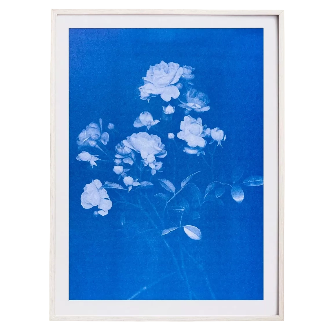 Risography Artprint Poster A3 | Unframed | Rose