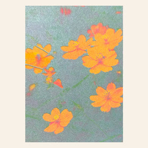 Risography Postcard | Cosmos