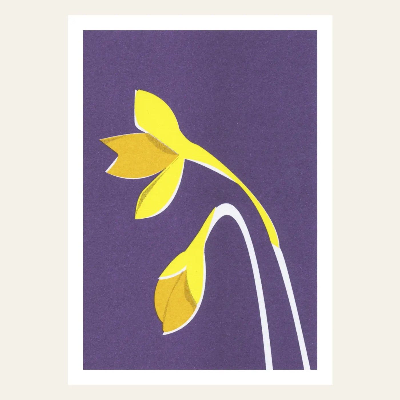 Risography postcard | Daffodil