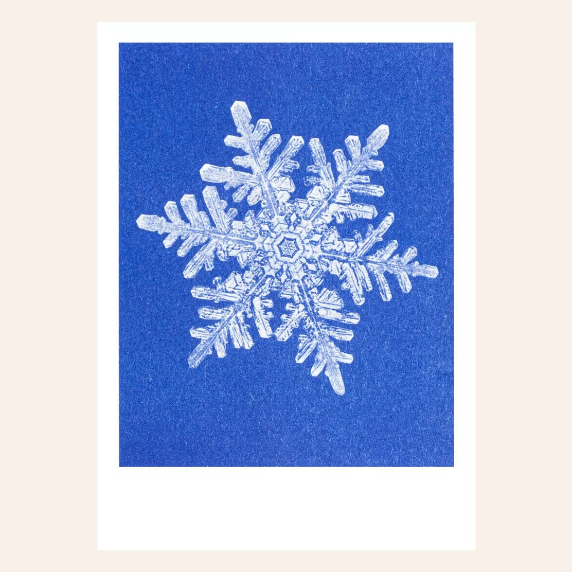 Risography postcard | Neves