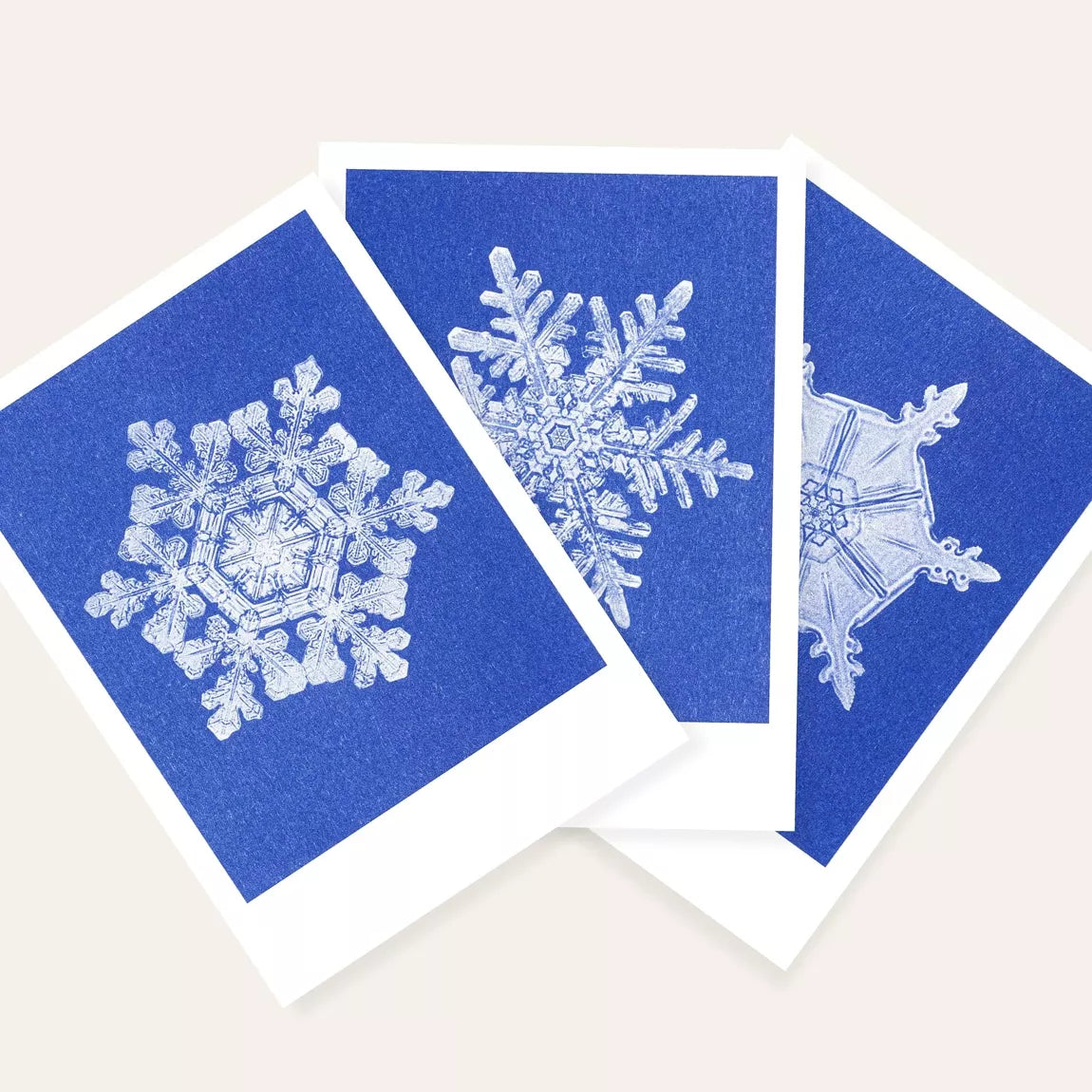 Risography postcard | Snow