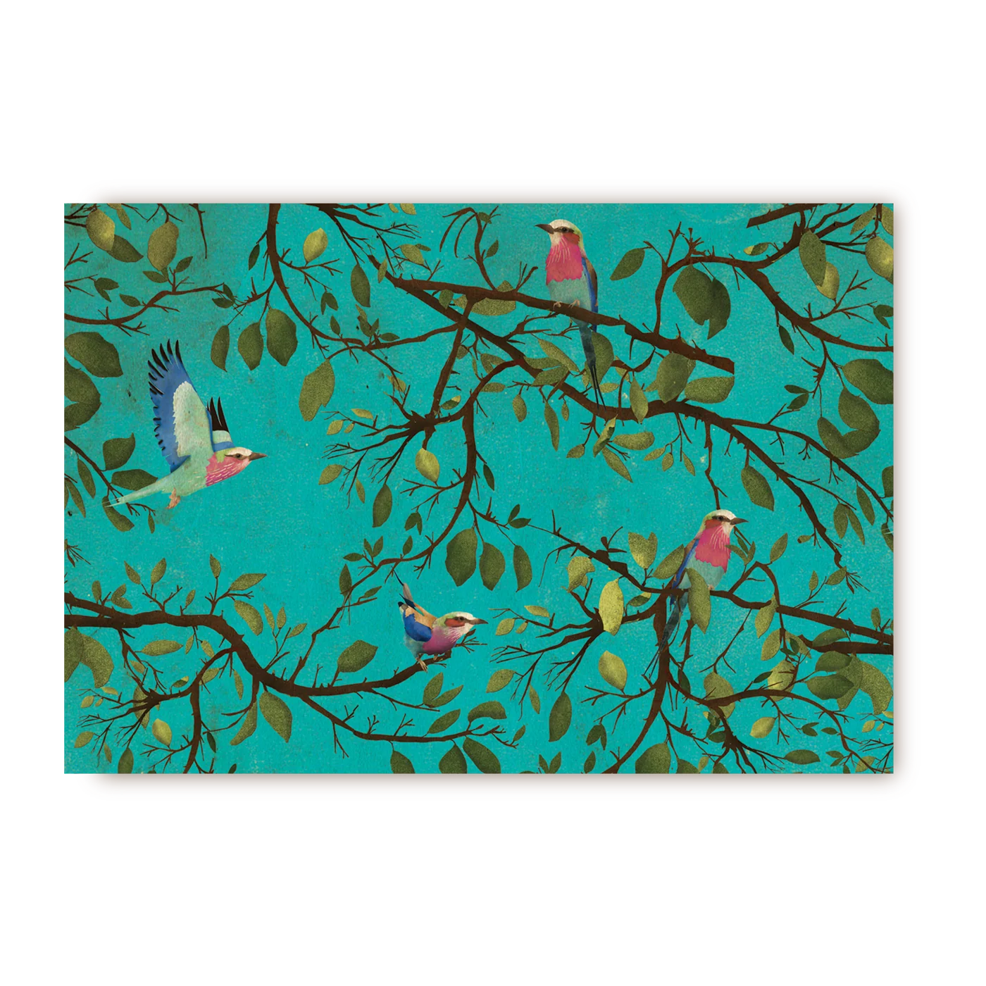Rollerbird Floral | Postcard
