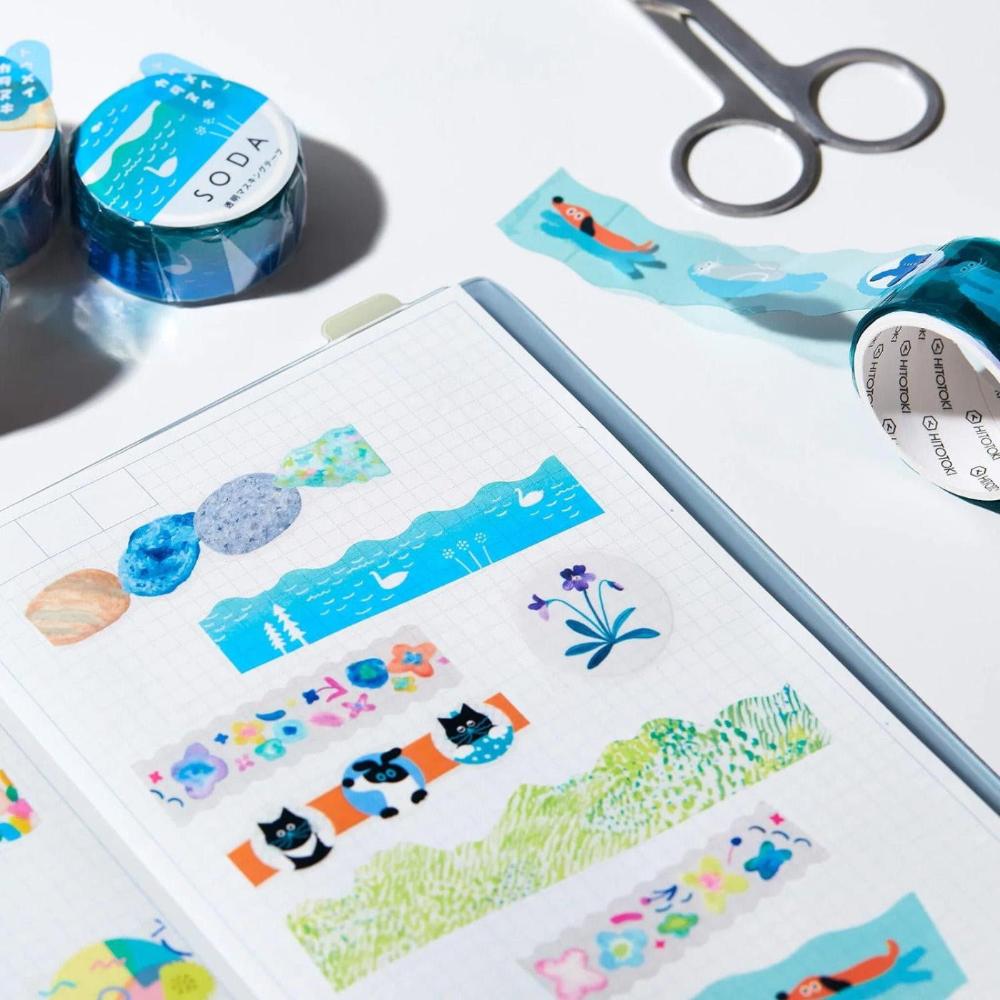 SODA Transparent MT 15mm | Face