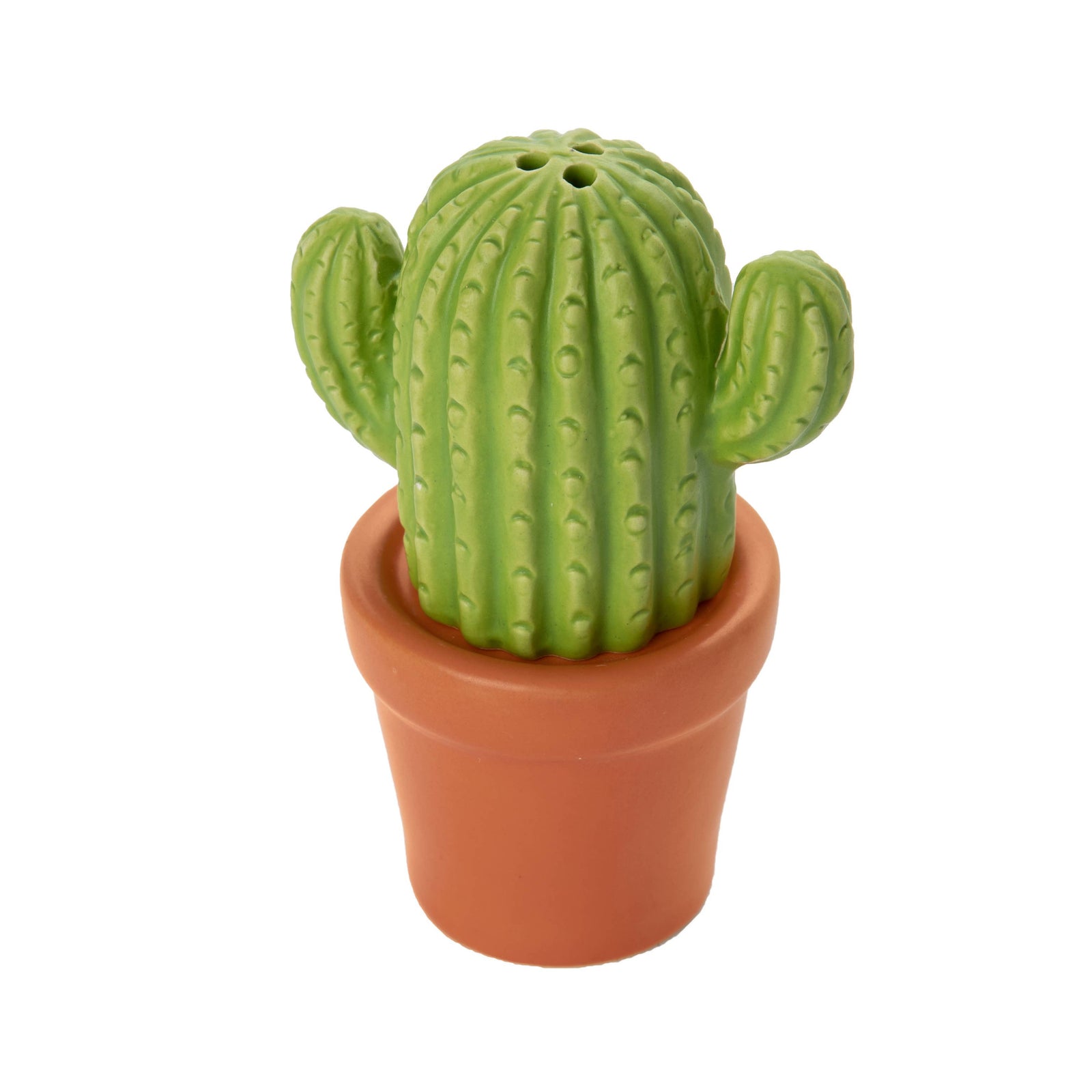 Salt and Pepper Set | Cactus 