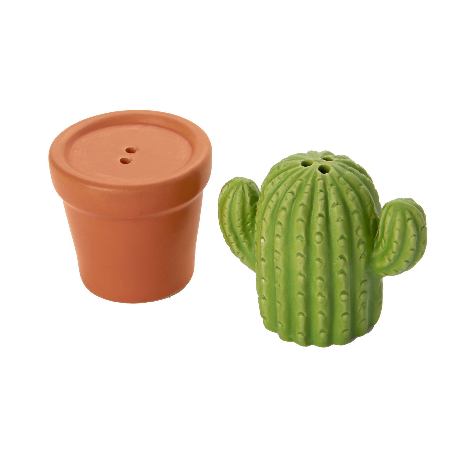 Salt and Pepper Set | Cactus 