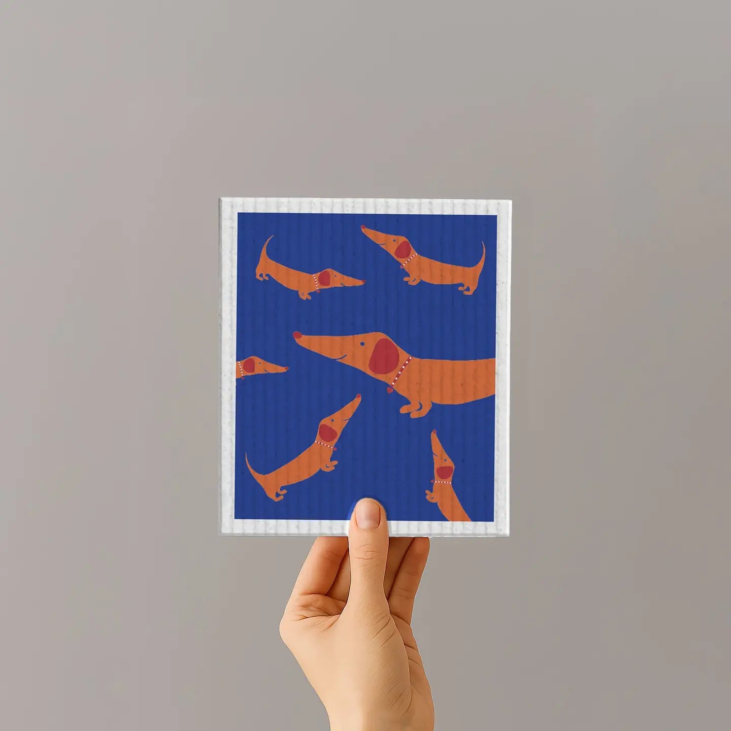 Sponge Cloth | Dachshund