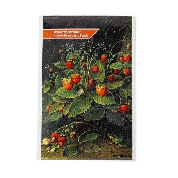 Strawberries | Schlesinger | Postcard With Flower Seeds