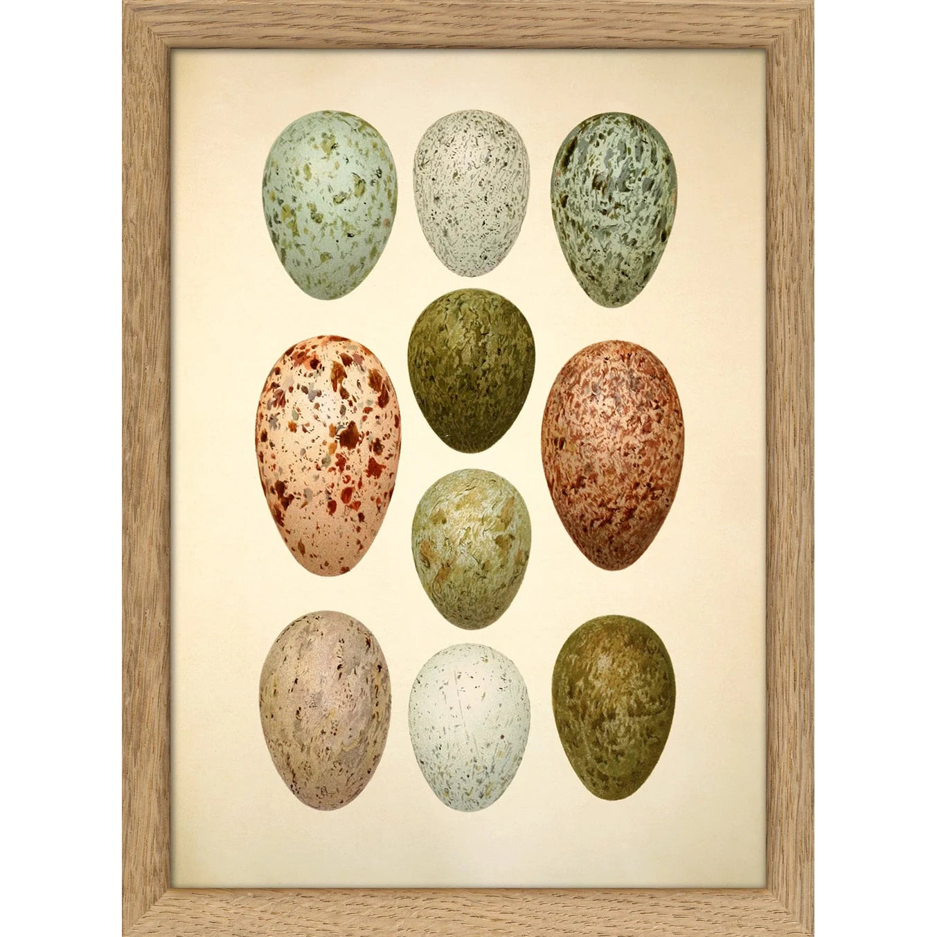 TEN SPOTTED EGGS | 15x15cm | OAK FRAME