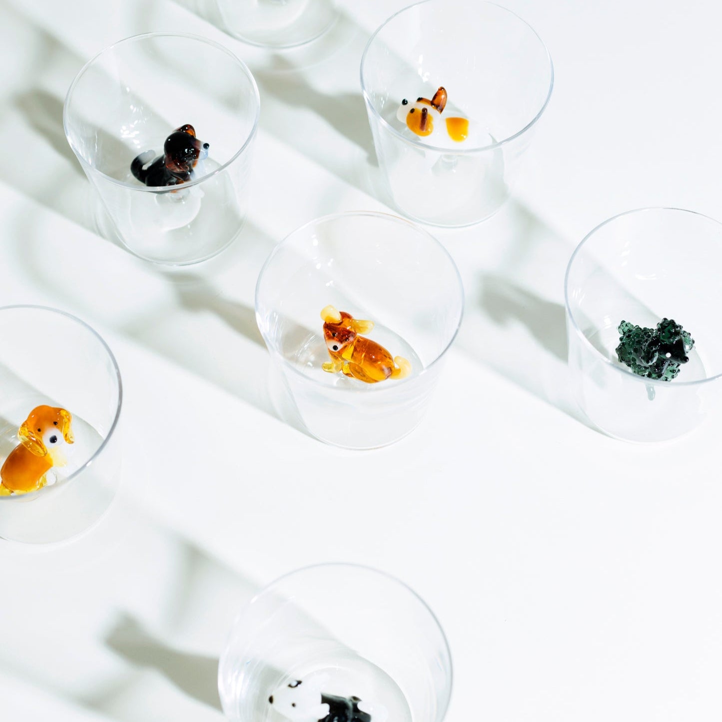 Tumbler Golden Retriever