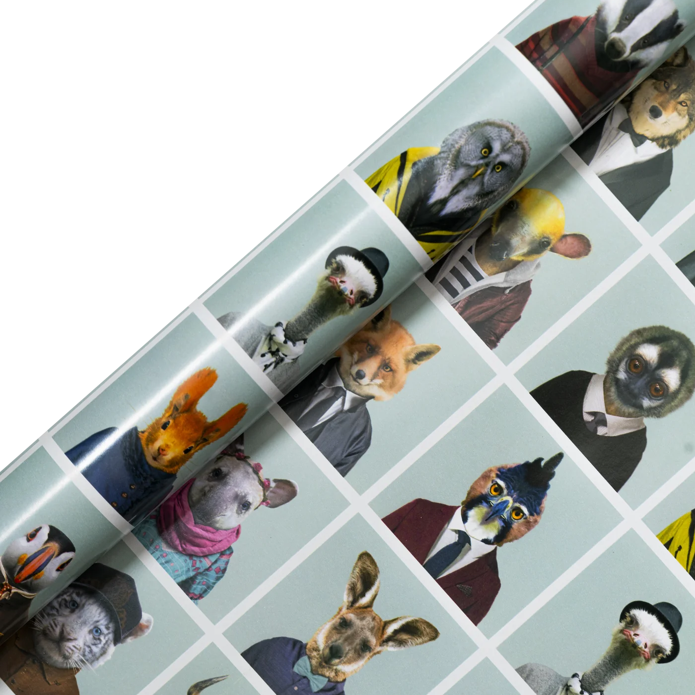 Zoo Portraits Polaroid Roll Wrap | Zoo Portraits