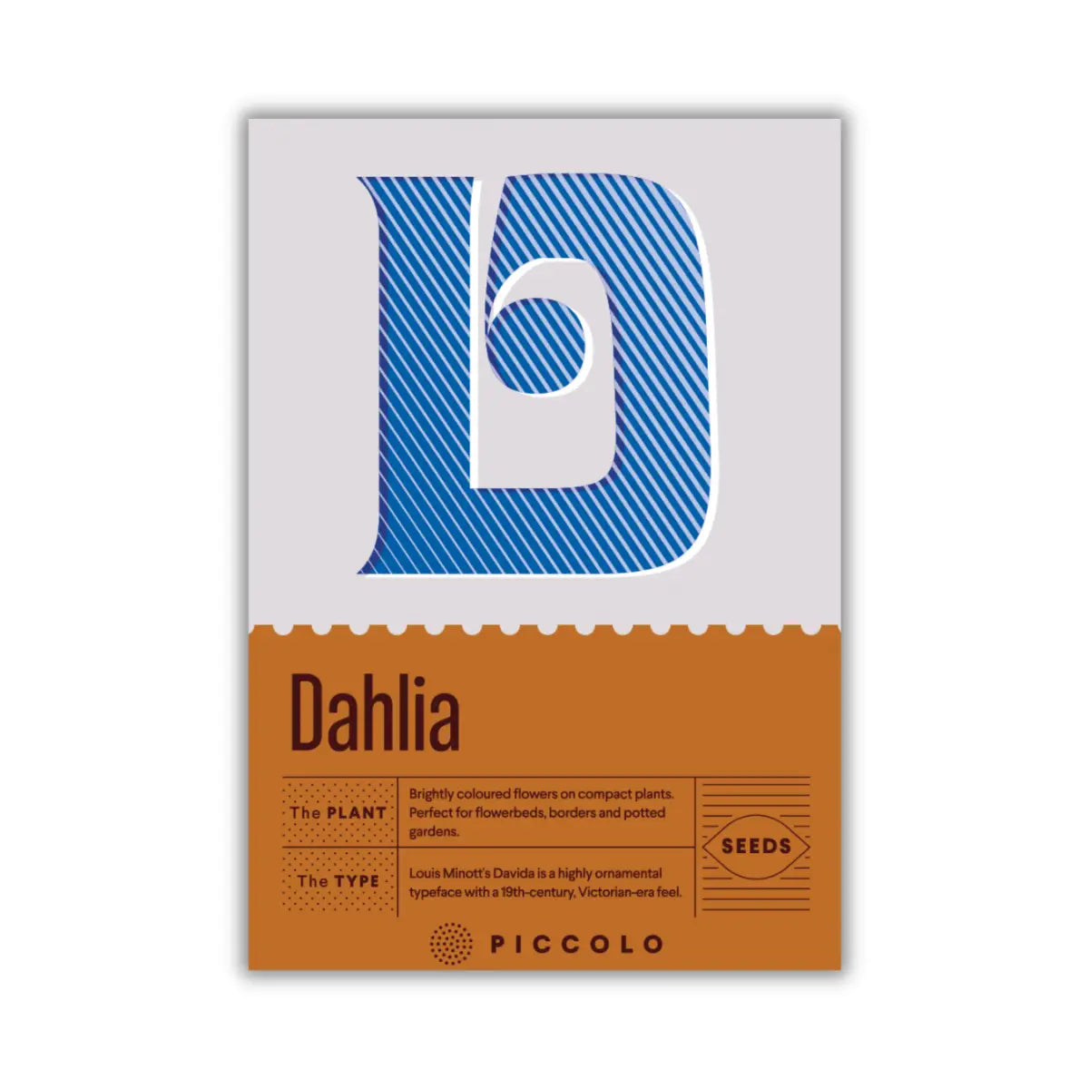 Dahlia plant seeds in typography packaging