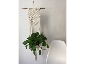 Plant hanger with driftwood