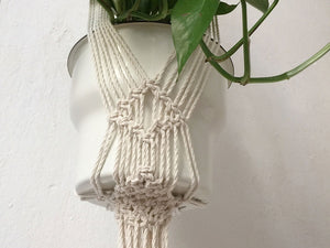 Plant hanger with metal ring