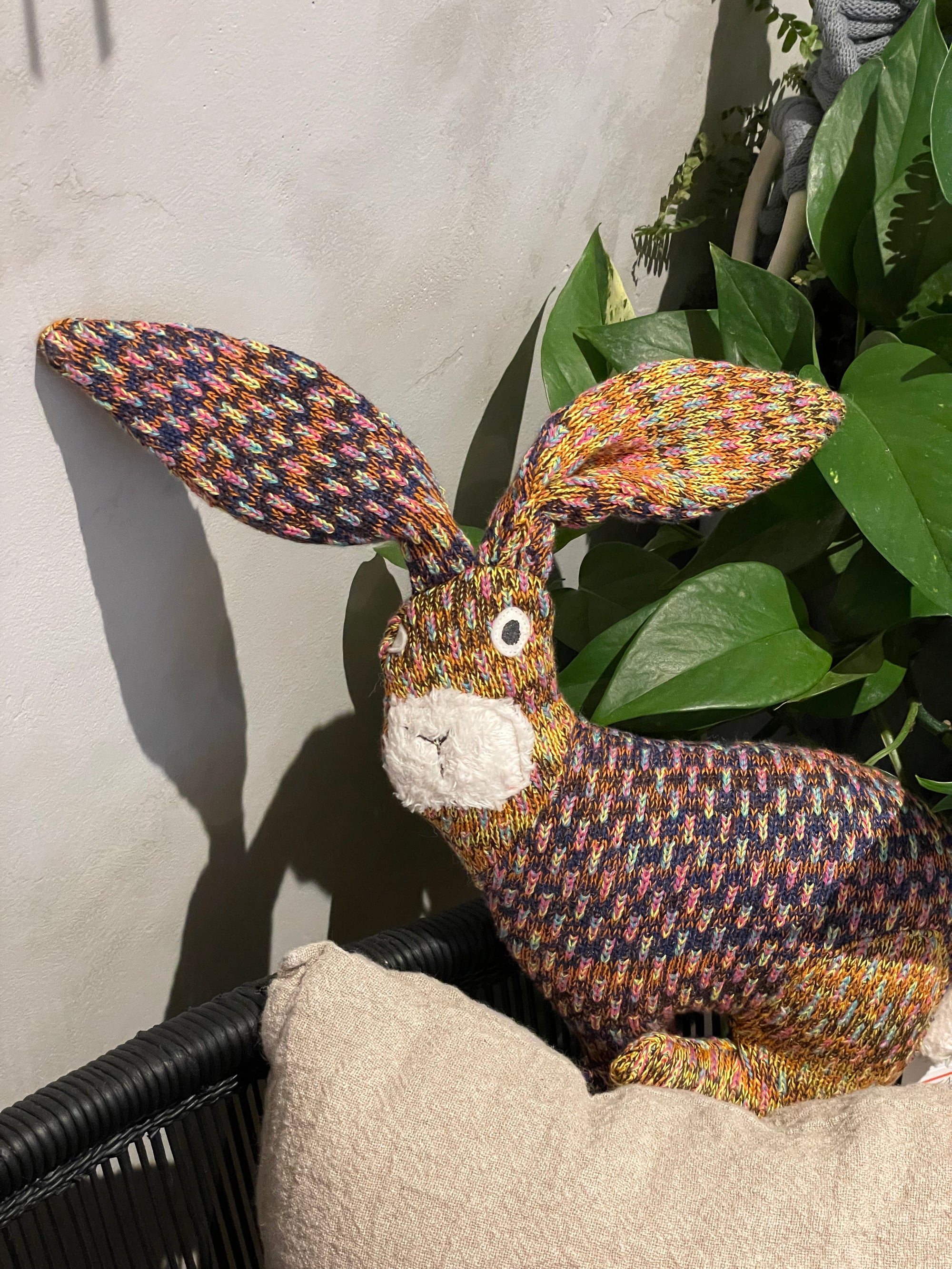 Rabbit ( Charlotte )