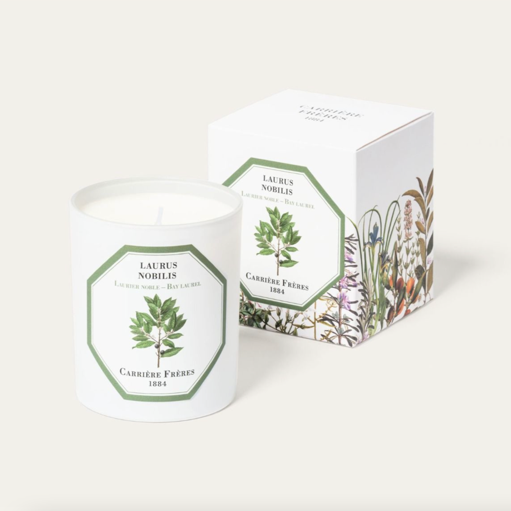 CARRIÈRE FRÈRES CANDLE | BAY LAUREL