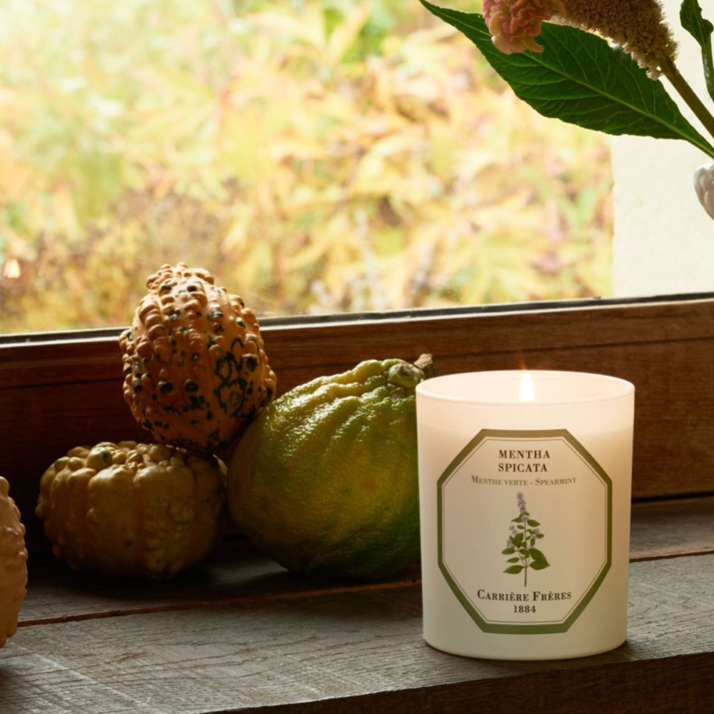 CARRIÈRE FRÈRES CANDLE | SPEARMINT