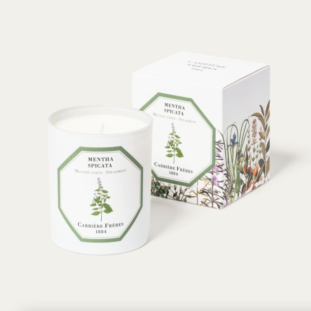 CARRIÈRE FRÈRES CANDLE | SPEARMINT