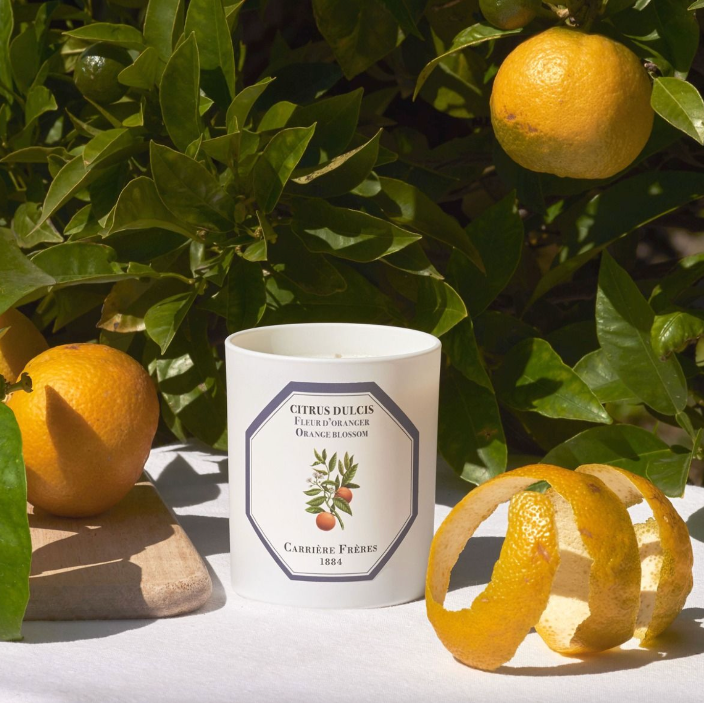 CARRIÈRE FRÈRES CANDLE | ORANGE BLOSSOM